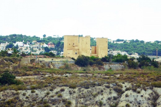 Resale - Apartment - San Miguel De Salinas