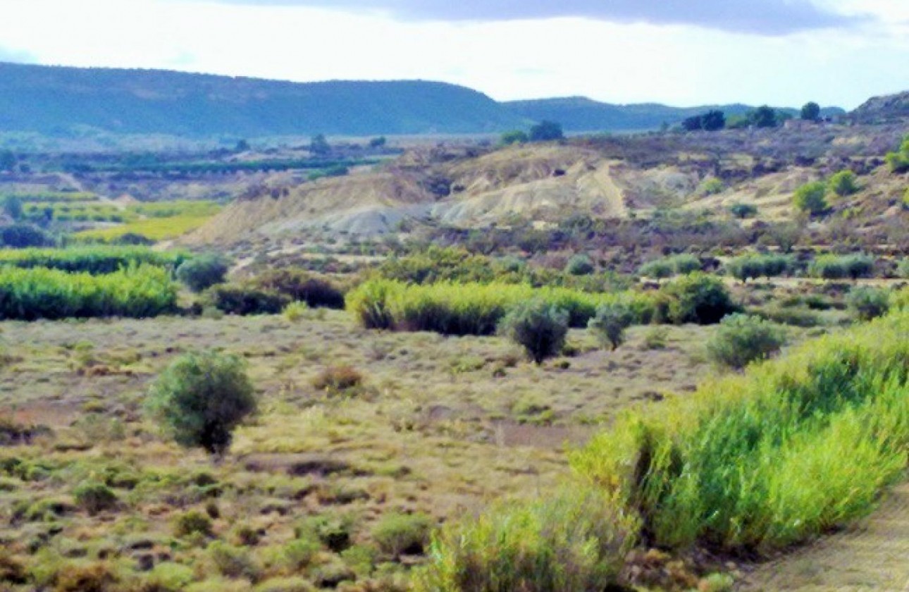 Resale - land - Torremendo