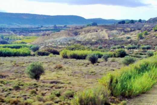 Resale - land - Torremendo